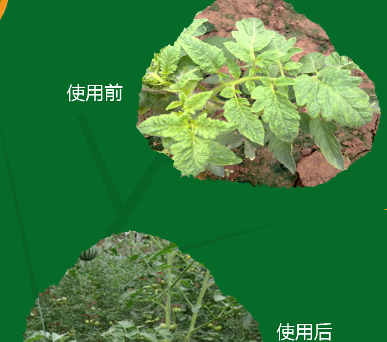 氯氟聯(lián)苯吡菌胺如何實現(xiàn)我國首家登記？